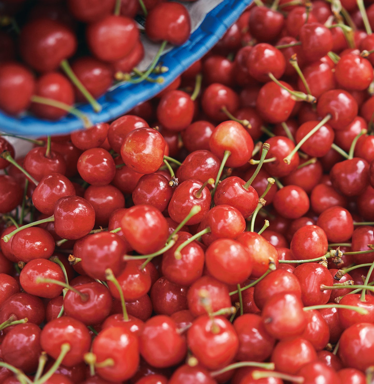 黒澤ファーム有機玄米&翠玉園さくらんぼ2種のソルベ/6個入セット